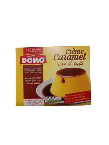 [8923] Domo Creme Caramel