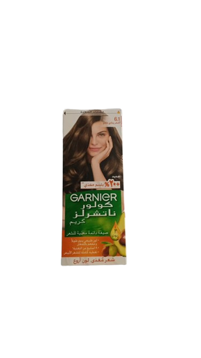 [5830] Garnier Color Natural 6.1